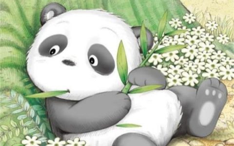荒野求生，开局发现国宝大熊猫！